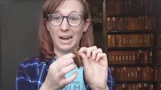 Super Science: Aquatic Insects of Staten Island