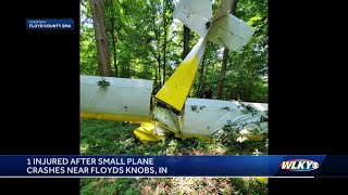 Pilot was headed to private landing strip before crashing plane in southern Indiana