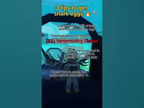 How to get shark egg in fishing simulator?? #tipsandtricks #howto #