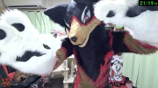 【Fursuit/獣化#144】水曜のもふもふタイム🐶🐾【ジュージュー/JuuJuu】#fursuit #獣化 #live