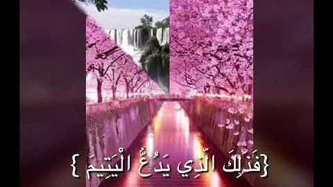 سورة الماعون بصوت :حسين الجسمي تلاوة رائعة خاشعة