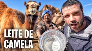 COMO É UMA CRIAÇÃO DE CAMELOS NO DESERTO DO SAARA 😳 🇲🇦 by Sou Mochileiro 138,214 views 3 weeks ago 24 minutes