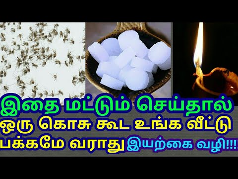 கொசுவை கொல்ல இயற்கை வழி/how to prevent mosquitoes at home naturally!!!!!