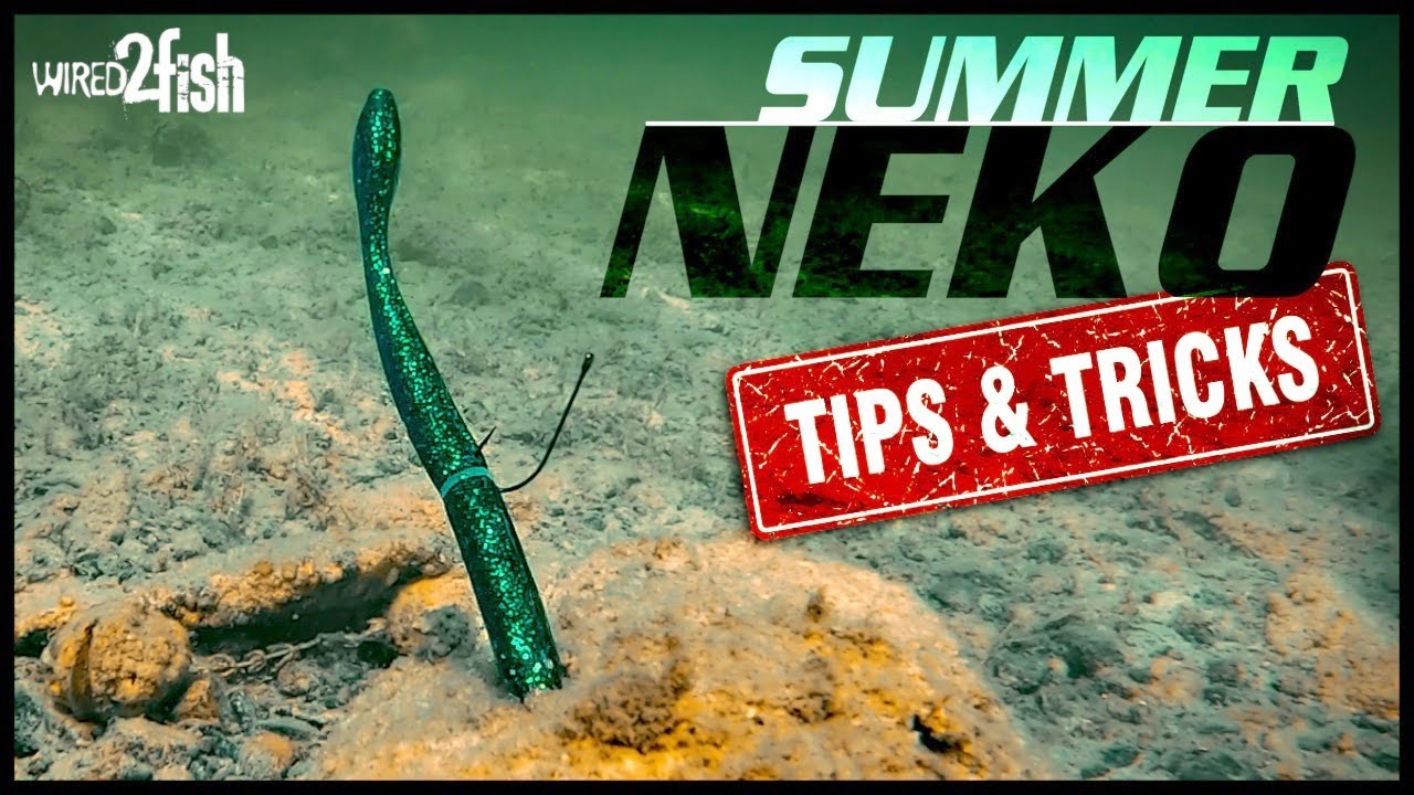 Seth Feider on Choosing the Perfect Hook for Your Neko and Wacky Rigs