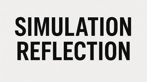 Simulation Reflection Video