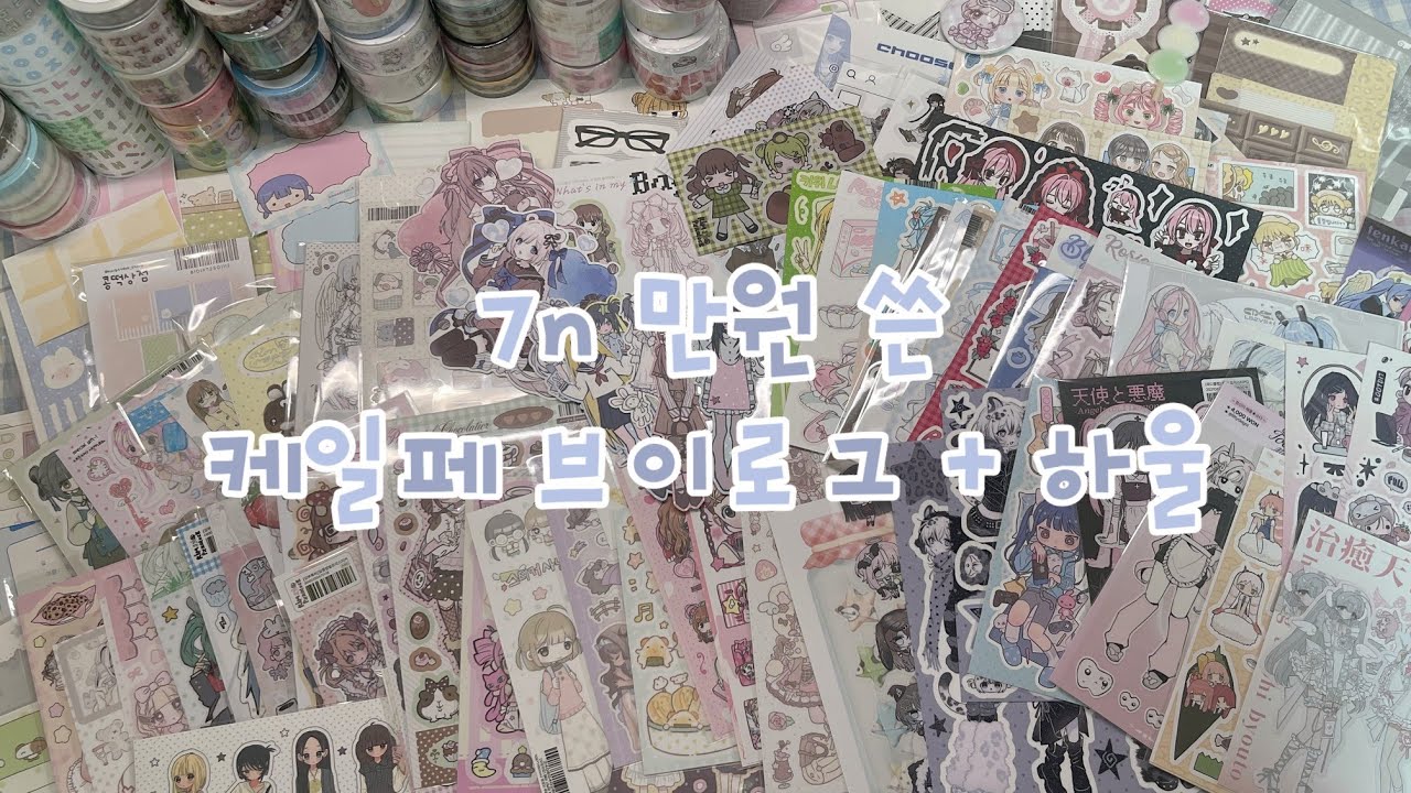 케일페 브이로그 겸 하울 ˚。˳✧༚。문구에 미쳐 7n 만원을 ... 쓰고 오다