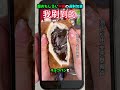 超おもしろい中国の過剰包装