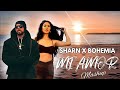 Sharn x bohemia  mi amor lyrics ft sonam bajwa  40k  the paul 2024  megamix by mohib beats