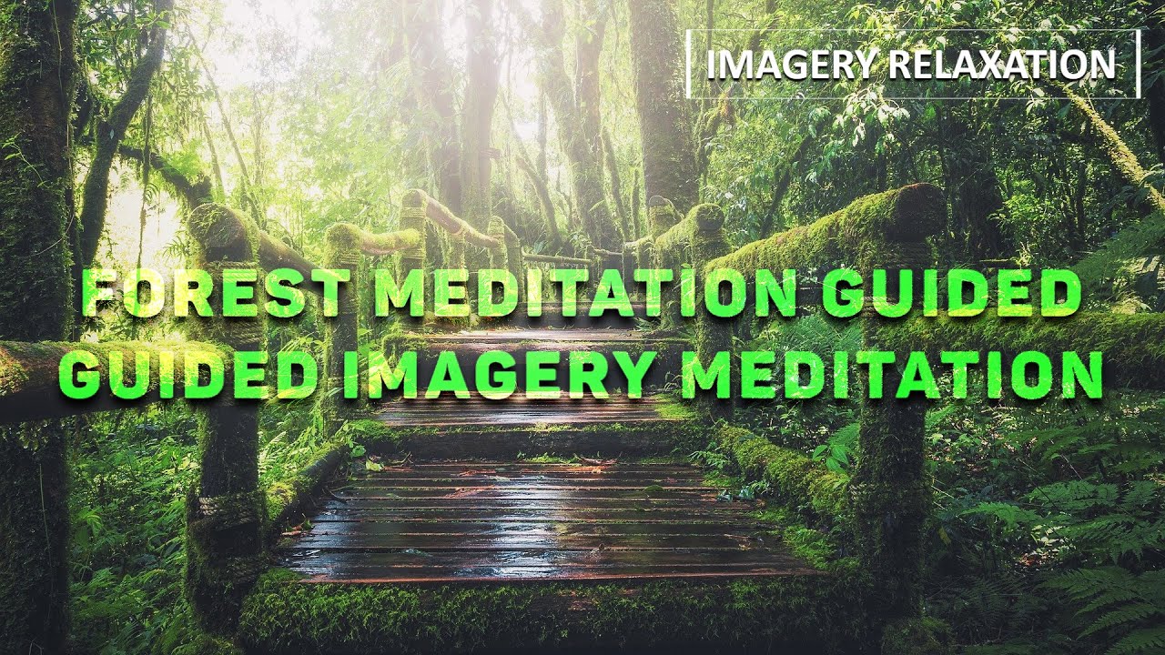 Forest Meditation Guided || Forest Meditation || Enchanted Forest ...