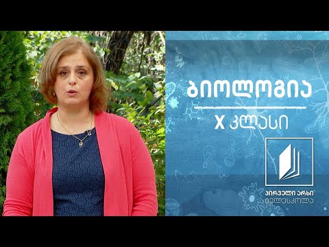 ბიოლოგია, X კლასი - ნუკლეინის მჟავები - დნმ და რნმ #ტელესკოლა