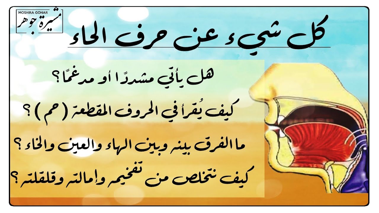 📣(٢٢) كل شيء عن الحاء بالتشكيل وفي الحروف المقطعة واسمه،صورته،مخرجه،صفاته،الأخطاء الشائعة وعلاجها