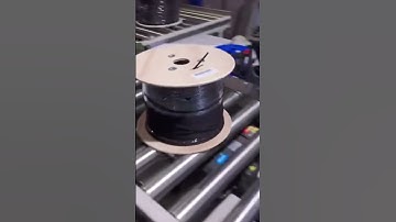 Băng Tải Con Lăn  Tối Ưu Cho Vận Chuyển Hàng Hóa! 🚚