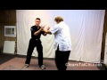 Tai Chi Stages of Internal Development - Beginner to Advanced