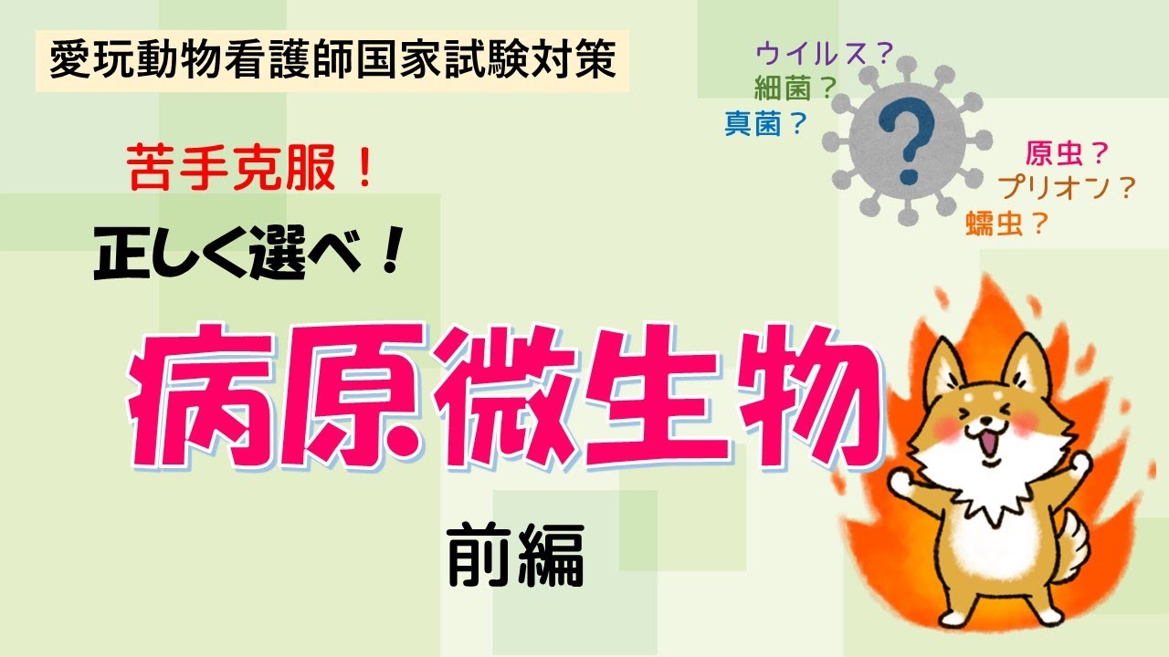 【愛玩動物看護師】病原微生物　前編