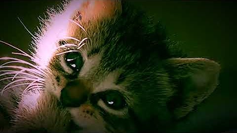 Playing run 3 level 56 to 58