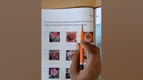 VSJ Std 4 Aaspas Chapter 11 Vadima Part 1