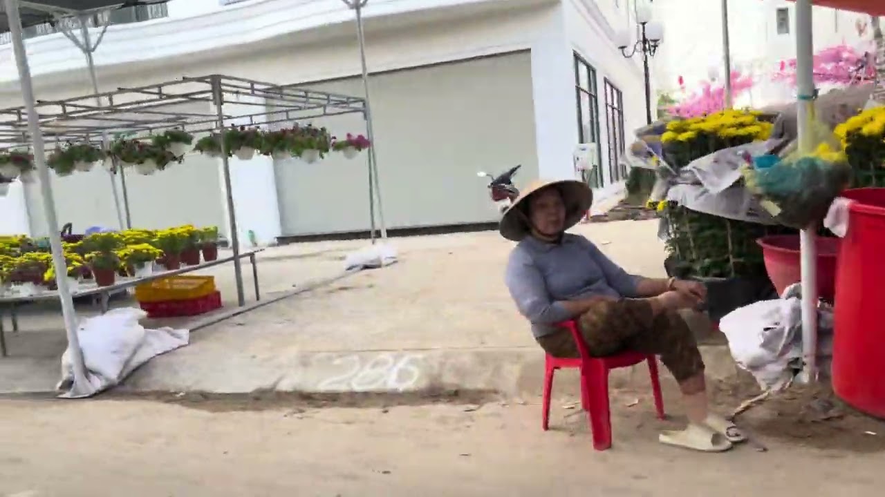 Chợ hoa Xuân quảng trường Mỹ Tho 23/12/al( 10/2/2026)