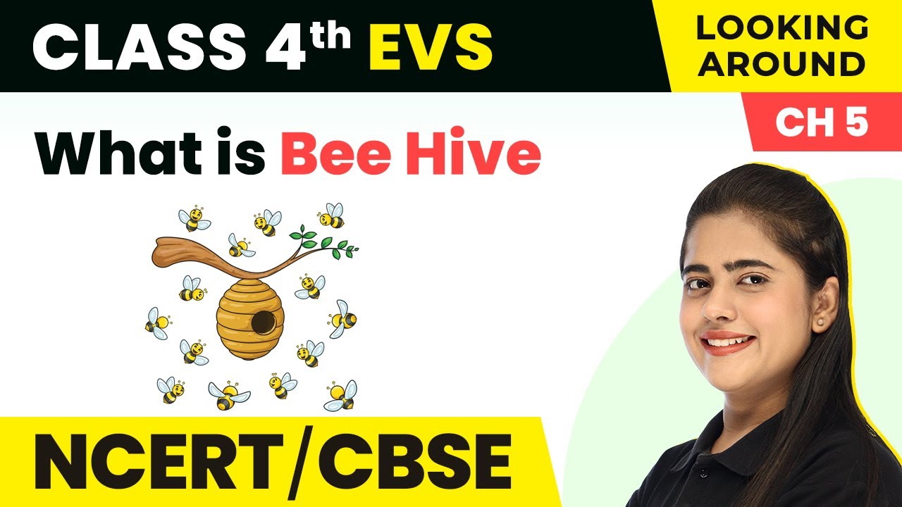 What is Bee Hive - Anita and the Honeybees | Class 4 EVS