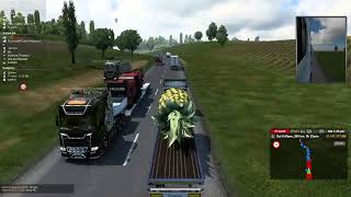Truckersmp Report Player Sebas209 Tmpid 5023561