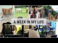 A Week In My Life | (BTS commercial shoot, Acting, Miami, Horses)