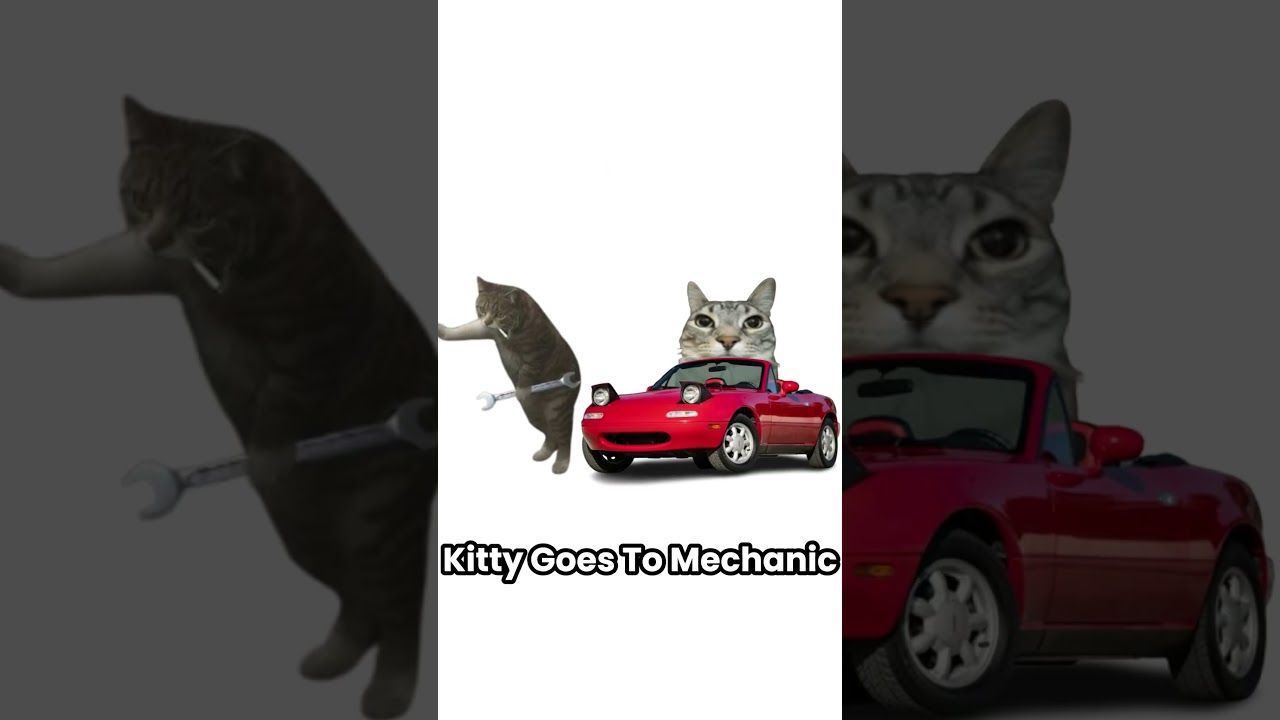 Turbocharger Explained By Kitty