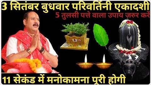 3 सितंबर बुधवार परिवर्तिनी एकादशी। 5 तुलसी पत्ते वाला उपाय जरुर करें। Pandit Pradeep Mishra ।।