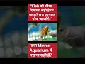 "Fish को शीशा दिखाना सही है या गलत? #facts #fishtank #fish