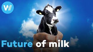 The Milk System: uncovering truths about the dairy industry (Full documentary)