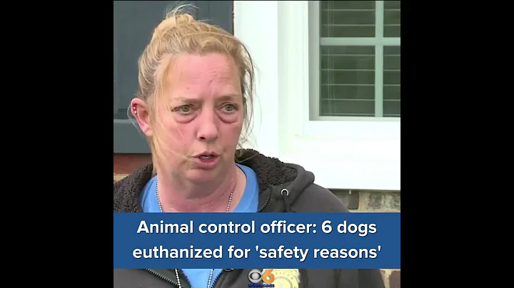 Man attacked by pack of dogs: 'I like pit bulls'