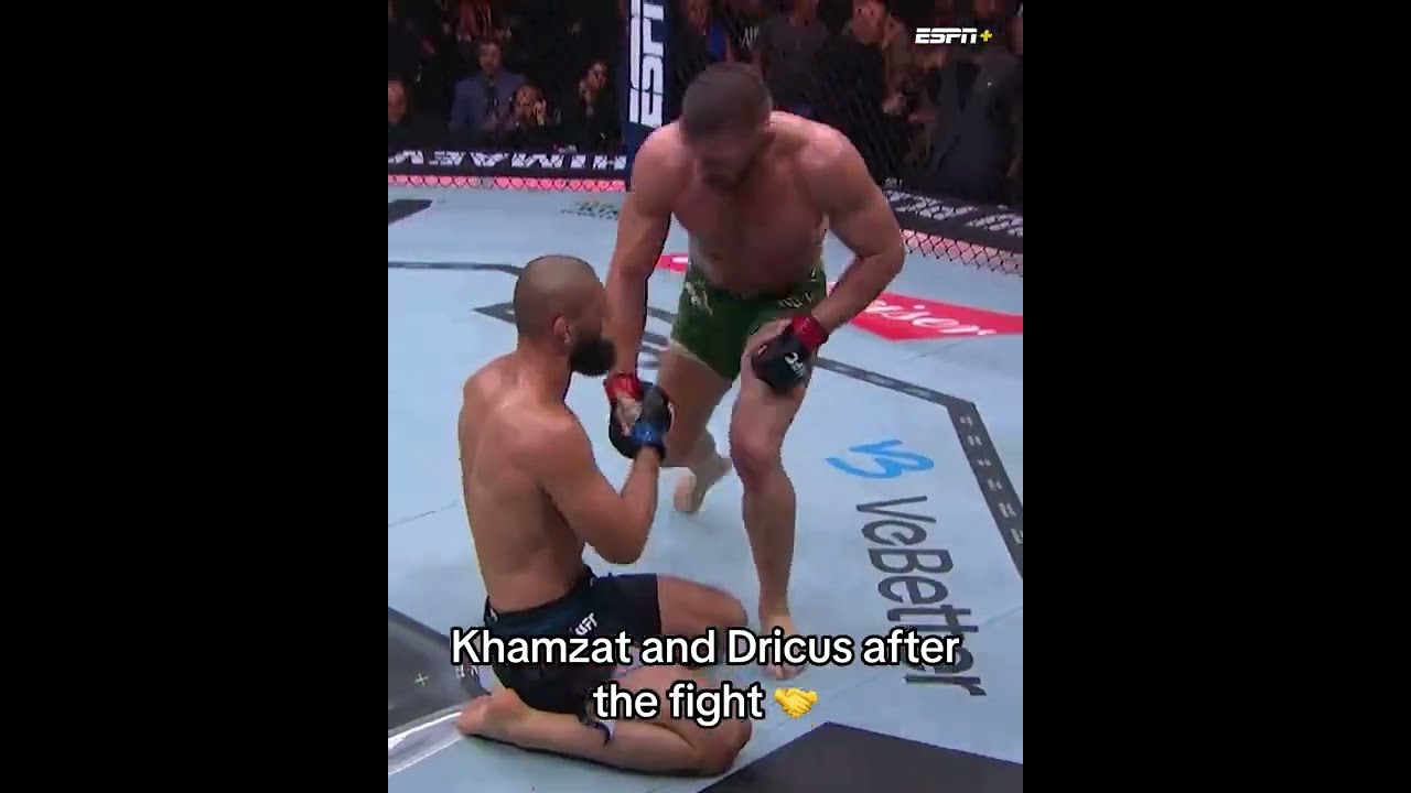 After Five Championship Rounds UFC319