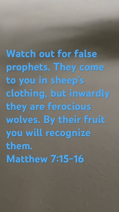 MATTHEW 7 15 16 love bibleverse jesus god peace truth matthew-7-15-16-love-bibleverse-jesus-god-peace-truth