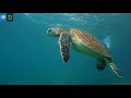Galápagos Ahhhh Moment | Virtual Expeditions | Lindblad Expeditions