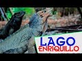 Documental Lago Enriquillo e Isla Cabritos República Dominicana