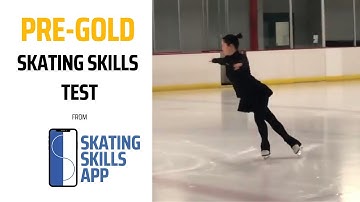 Pre-Gold Skating Skills Test (formerly the Junior Moves in the Field Test)