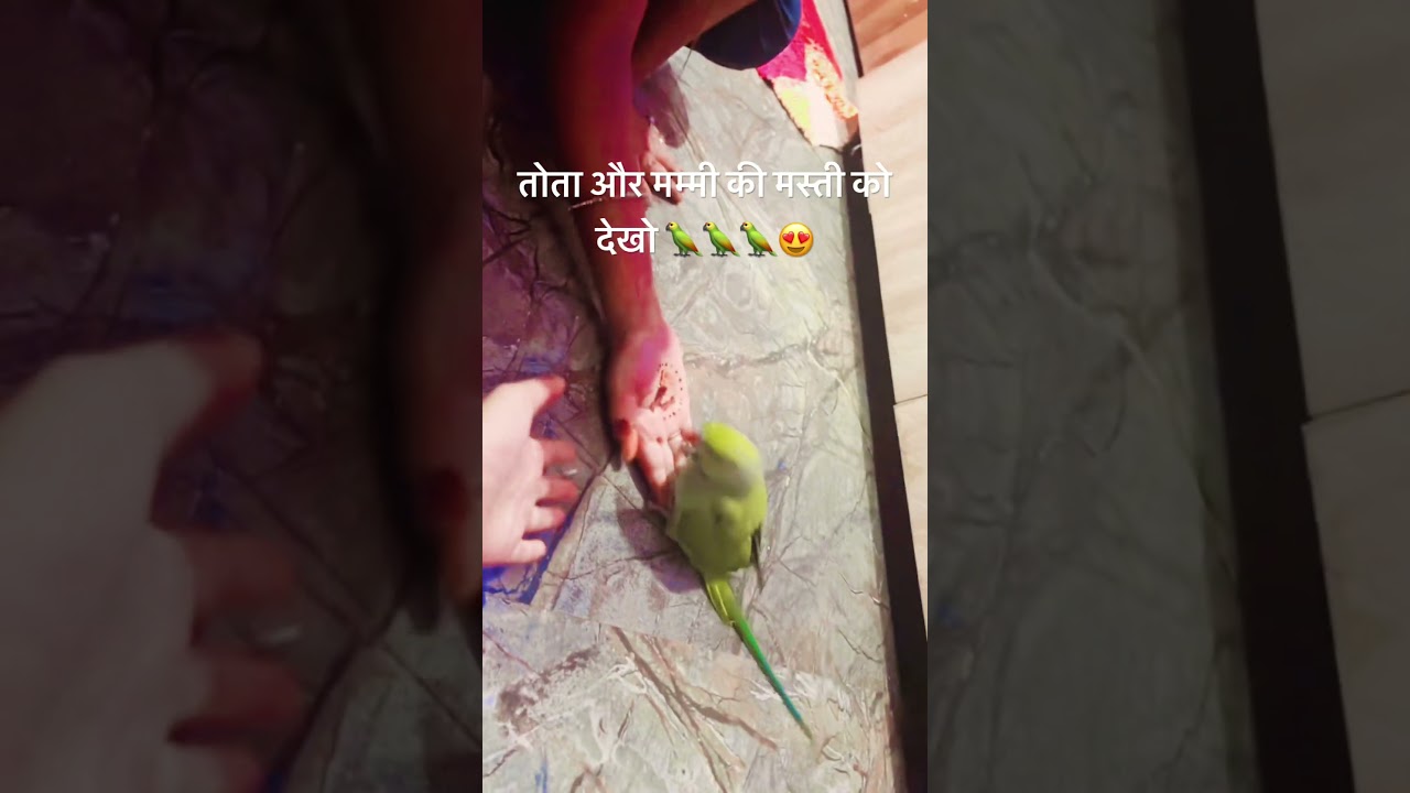 #trending 💕🦜🦜🦜🥰