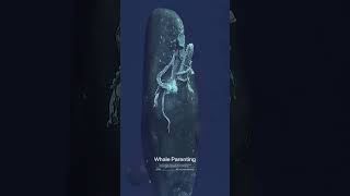 Epic Battle: Sperm Whale vs Giant Squid 🦑🐋