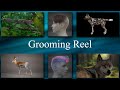 Grooming Reel | creature & character artist | VFX artist | #stynsour