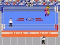 Pro Wrestling (1987) on the Nintendo Entertainment System (NES)