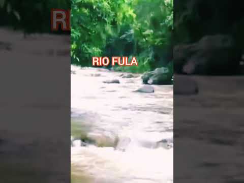 🔥 El Río Fula esconde un secreto que pocos conocen #rio