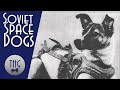 Laika and the Soviet space dogs