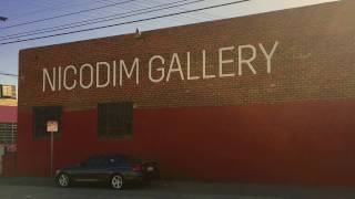 Dove Release at Nicodim Gallery