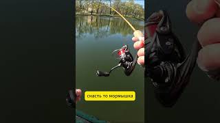 💥❓Полиэстер 0,074мм против ЩУК❓💥 #мормышинг #fishing #рыбалка