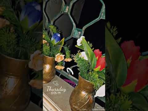 عم تمطر مطر