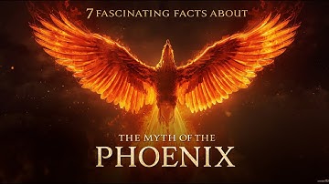 7 Eternal Facts About the Phoenix The Immortal Firebird of Legend