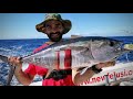 Pesca en gran canaria