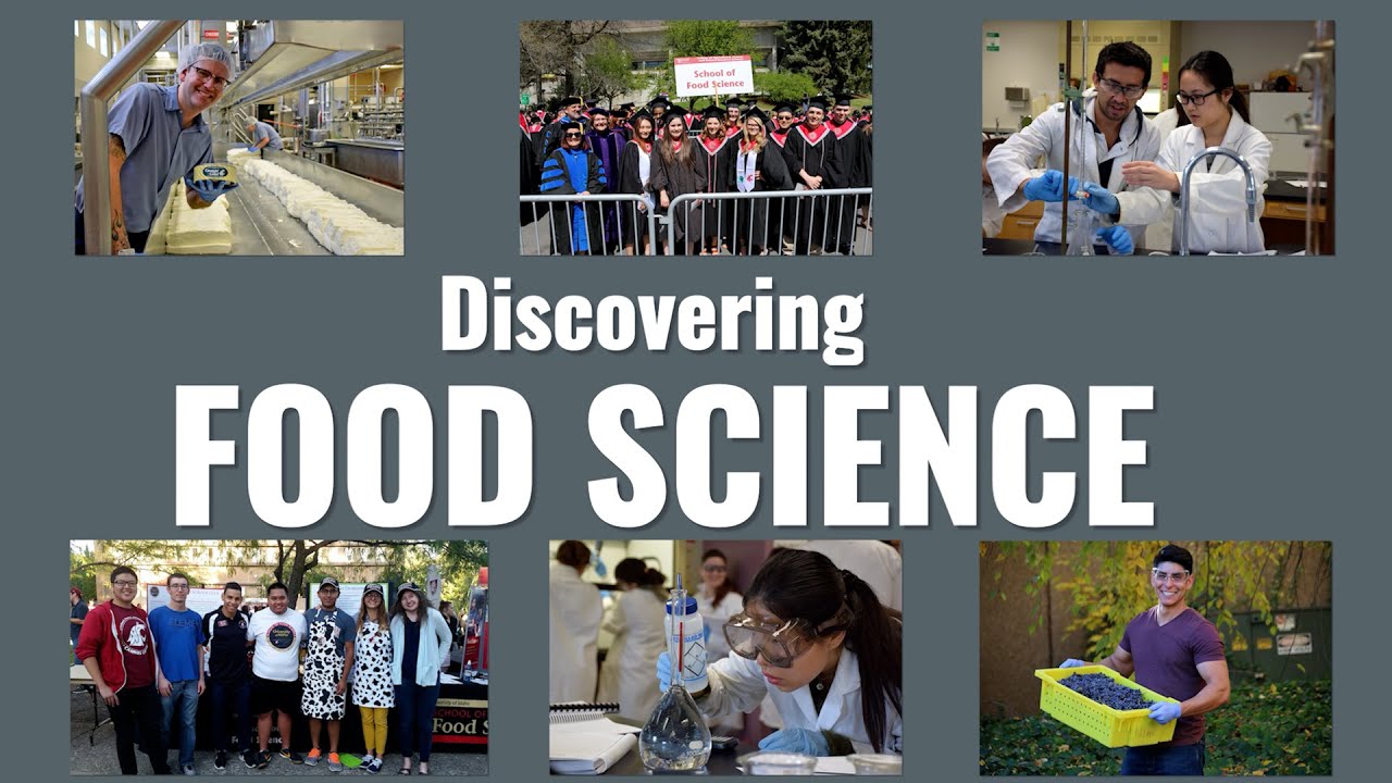 Food Science MS, WSU Global Campus