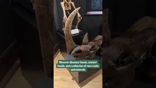 The History Museum at the Castle: Prehistoric Wisconsin