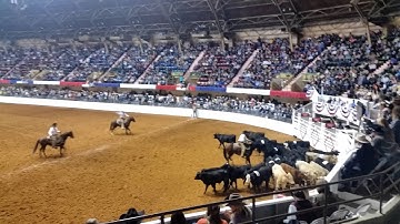 Singleton Ranch FWSSR 1/15/2016 - Cutting Out The Calfs