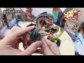 [Unbox] Figure Builder Standard Model Plus Vol. 20 | monster hunter(มอนสเตอร์ฮันเตอร์) | capcom