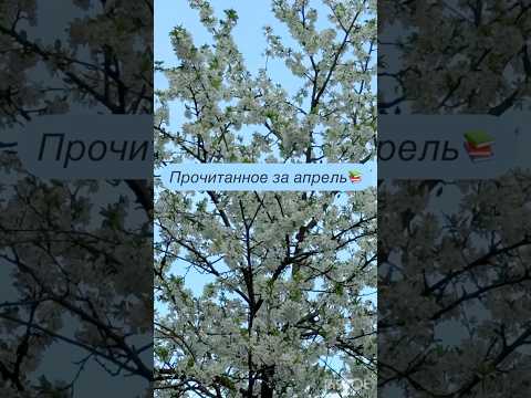 Прочитанное за апрель 📚